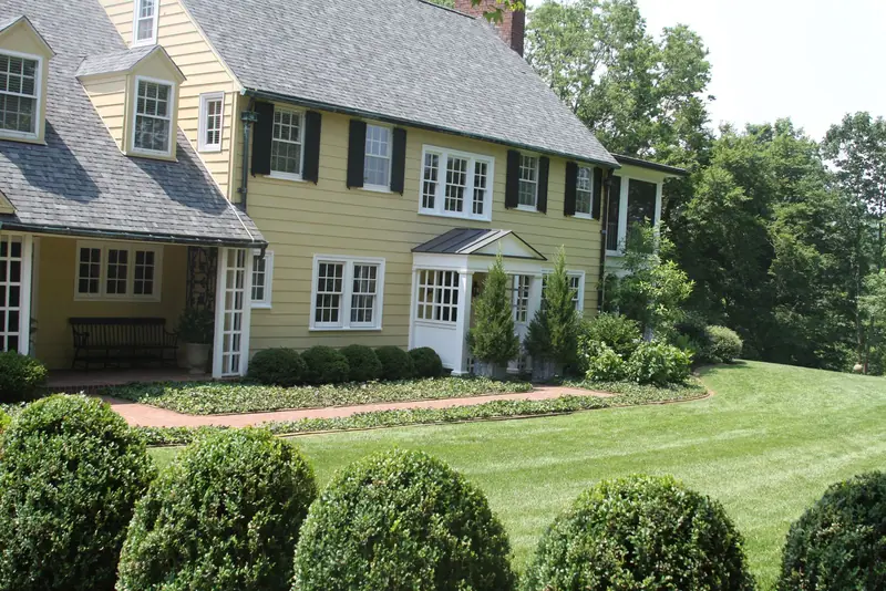 Maintained lawn